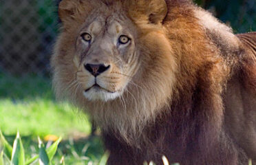 Zoo des Sables d’Olonne