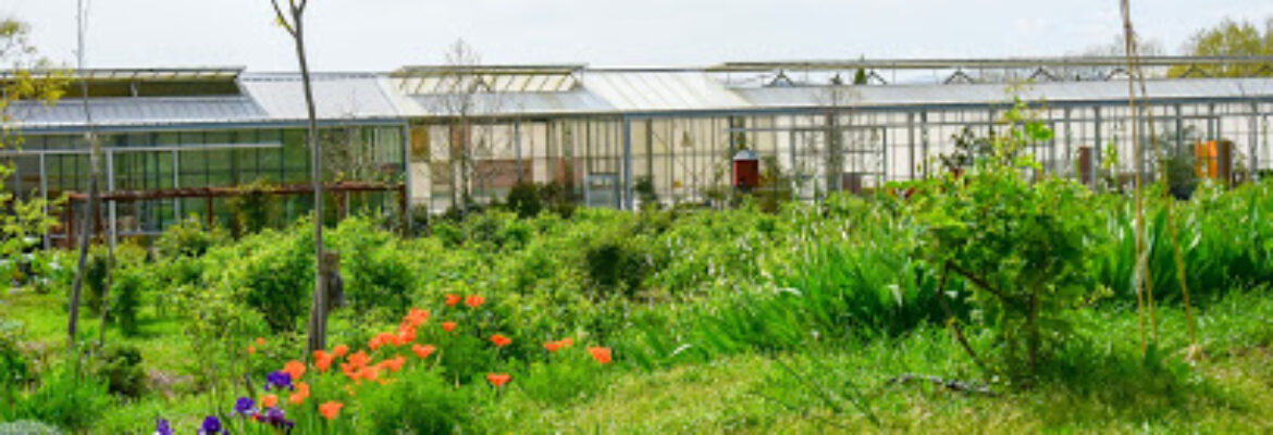 Jardins du mIP Mouans-Sartoux