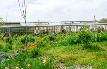 Jardins du mIP Mouans-Sartoux