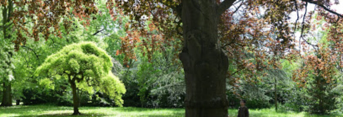 Jardin botanique de Metz