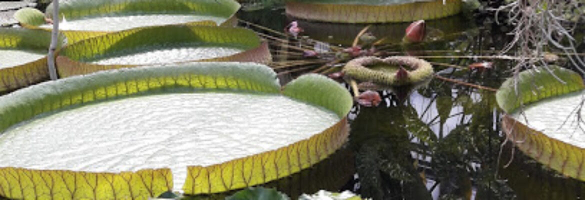 Jardin Botanique Jean-Marie Pelt