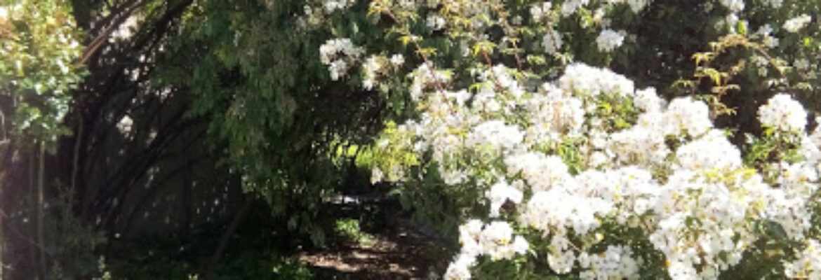 Jardin des Plantes Orléans