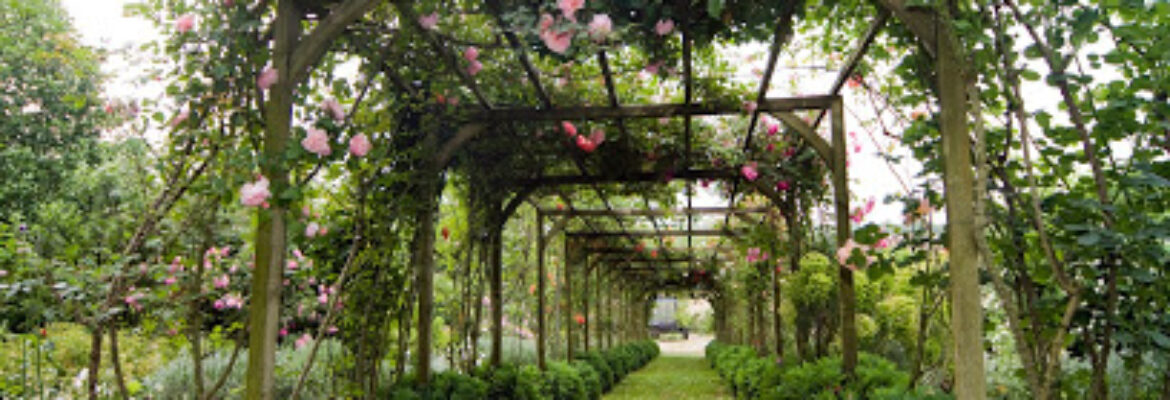 Jardin du Grand Chene Larroque-Engalin