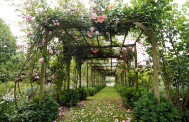 Jardin du Grand Chene Larroque-Engalin