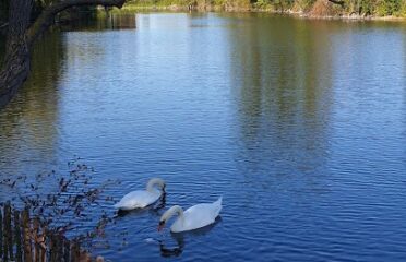 Le parc des Gondoles