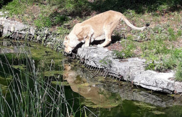 Zoo de Lyon