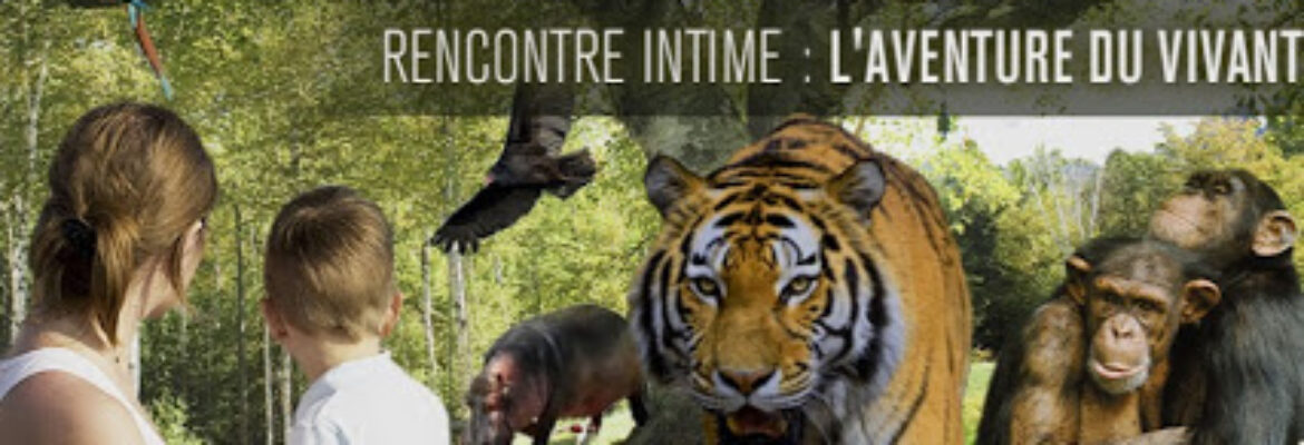 Zoo du Bois d’Attilly