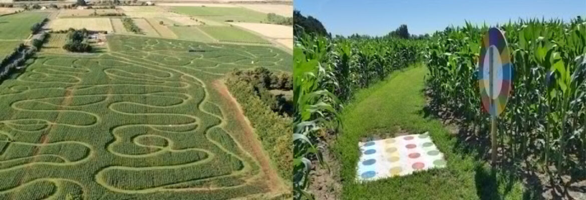 Labyrinthe en Délire