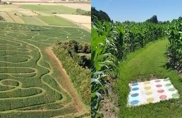 Labyrinthe en Délire