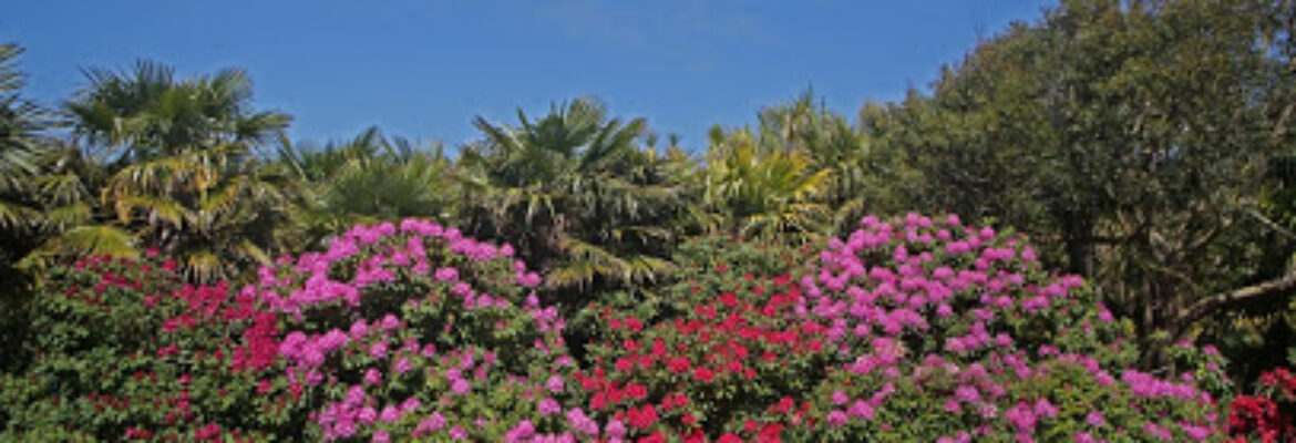 Jardin botanique du château de Vauville
