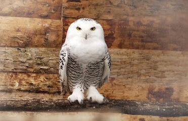 Zoo de Bordeaux Pessac
