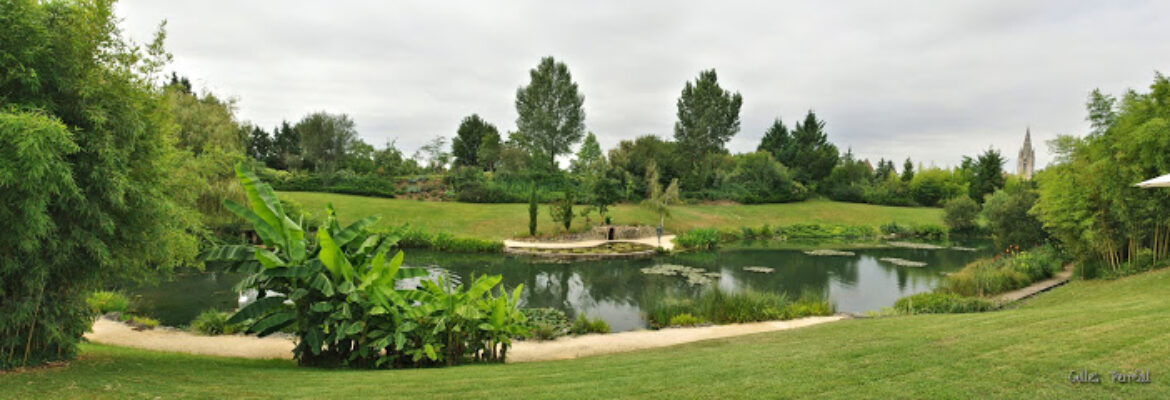 Le Jardin Des Nénuphars – Jardin Botanique