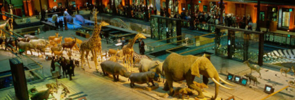 Grande Galerie de l’Évolution