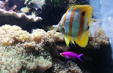 Aquarium Marin du Cap d’Agde