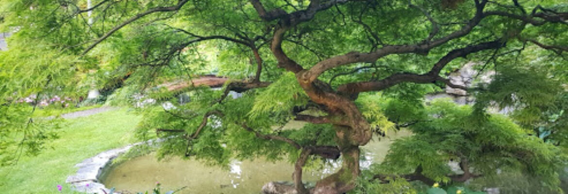 Jardin japonais d’Evian-les-Bains