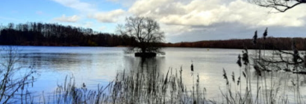 Base de Loisirs de Chabaud-Latour