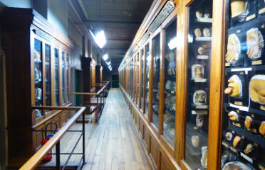 Musée des Moulages
