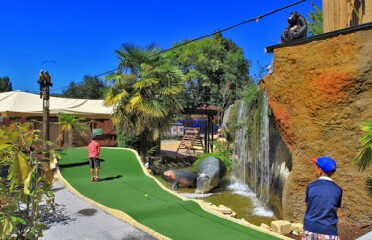 Jungle Golf Univerland