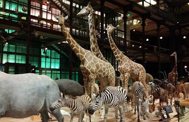 Muséum national d’Histoire naturelle