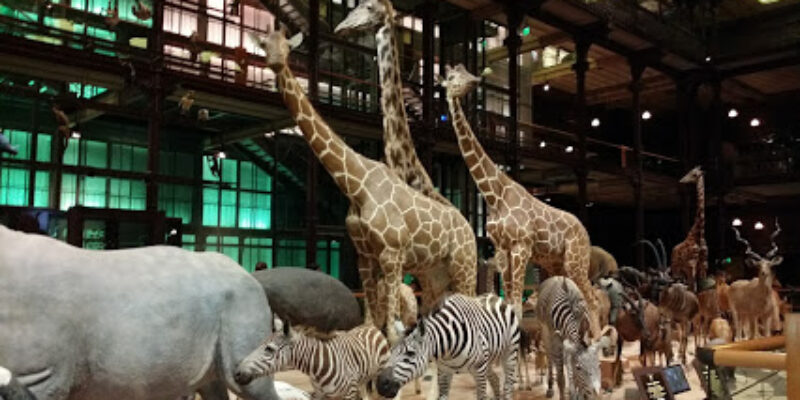Muséum national d’Histoire naturelle