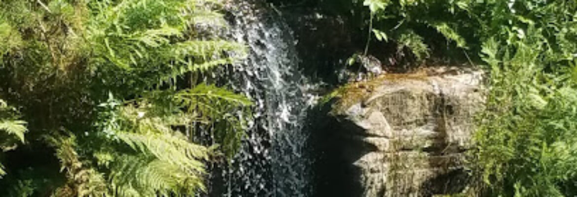 Les Jardins de Callunes