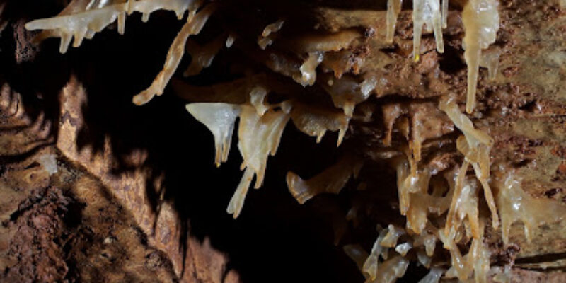 Grottes de Lacave