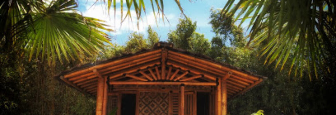 Jardin exotique de Saint Renan