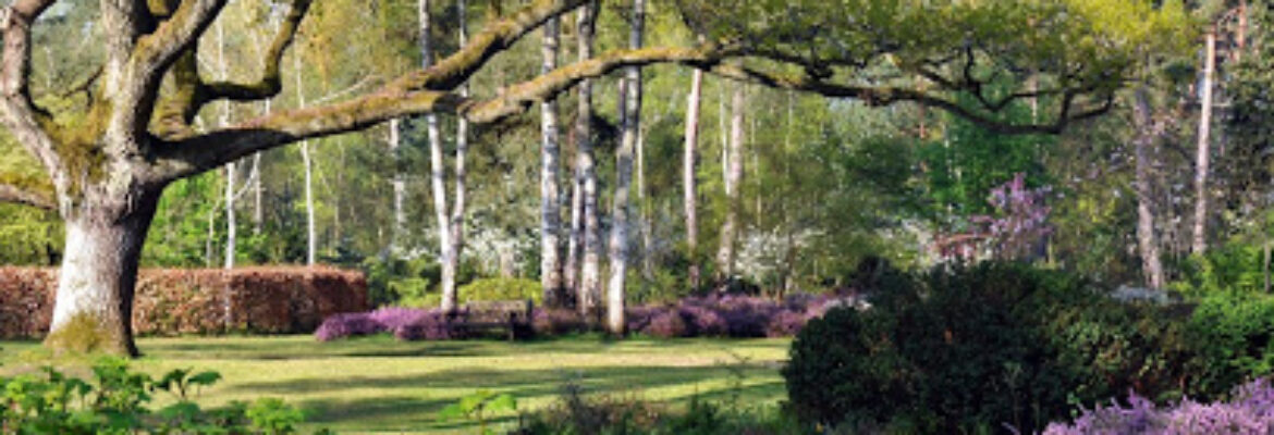 Arboretum des Grandes Bruyères