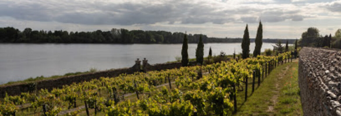 Jardin Méditerranéen Sainte-Gemmes-sur-Loire