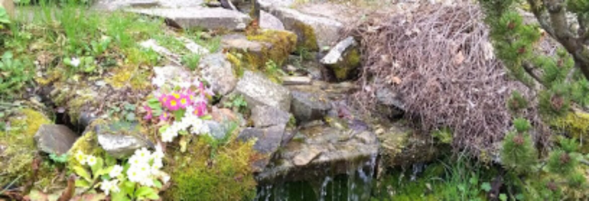 Jardin des Plantes de Caen