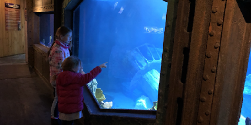 Aquarium d’Amnéville