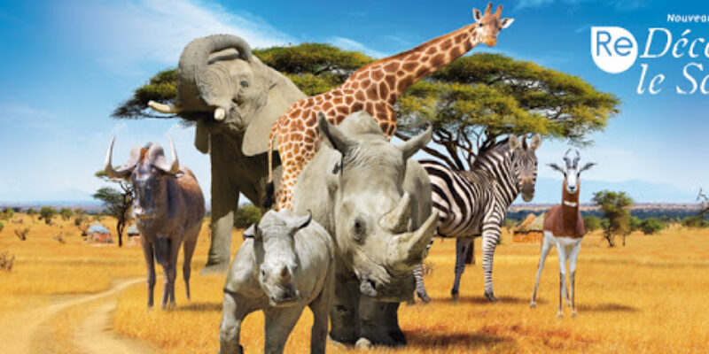 Safari de Peaugres