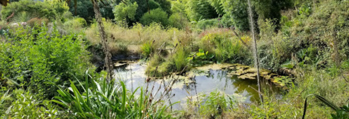 Jardin La Laurisylve