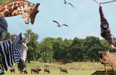 Thoiry ZooSafari