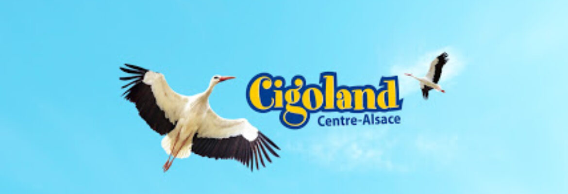 Cigoland