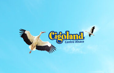 Cigoland