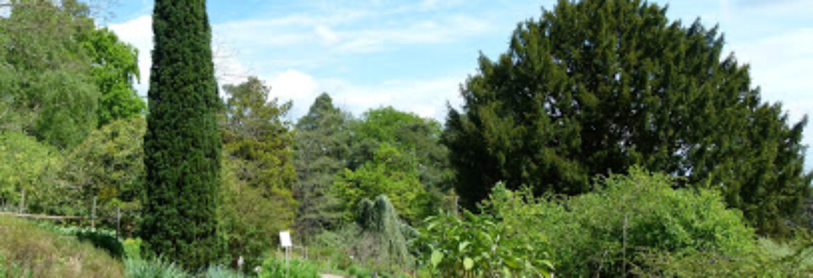 Jardin botanique du col de Saverne