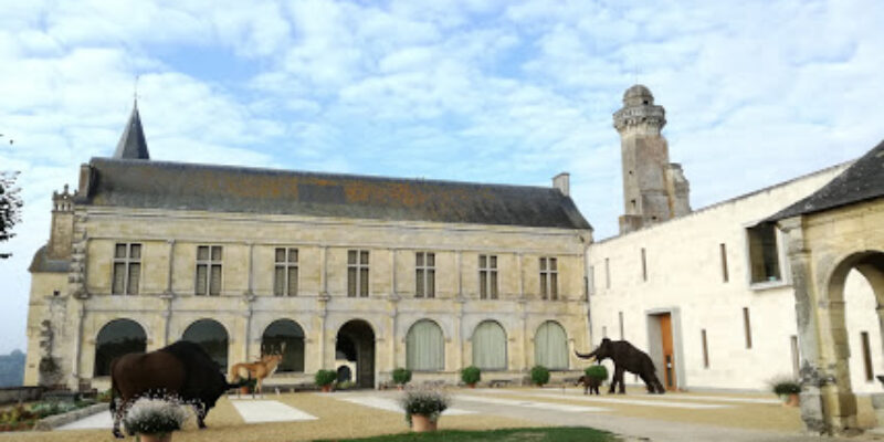 Musée de Préhistoire du Grand-Pressigny