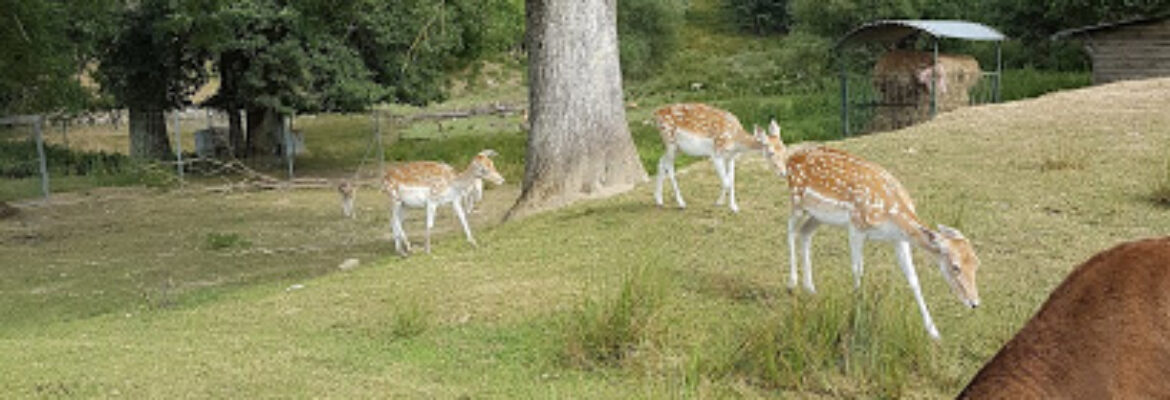 Parc Animalier de Coux