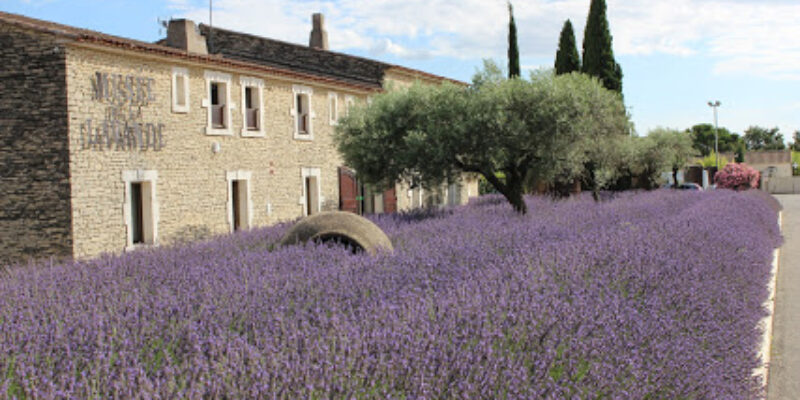 Musée de la Lavande