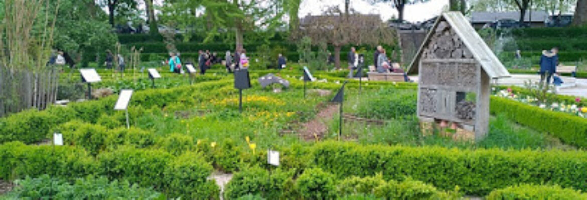 Jardin des Plantes Amiens