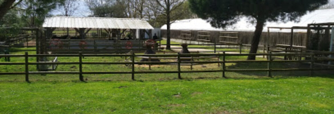 La Ferme de Magné