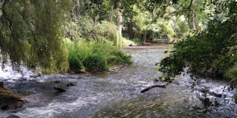 Parc animalier du Mont Narbonne – Saint-Léonard-des-Bois