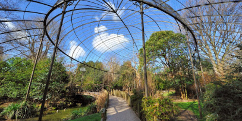 Ménagerie, le zoo du Jardin des Plantes