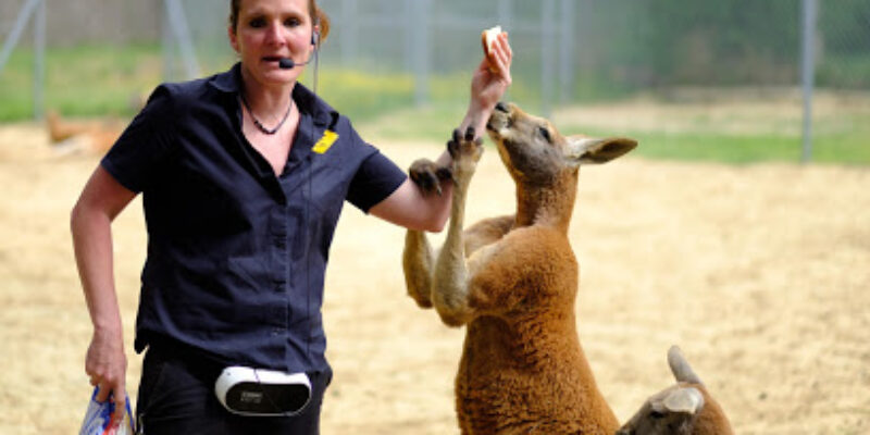 Le Parc Australien