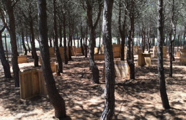 Starkh paintball