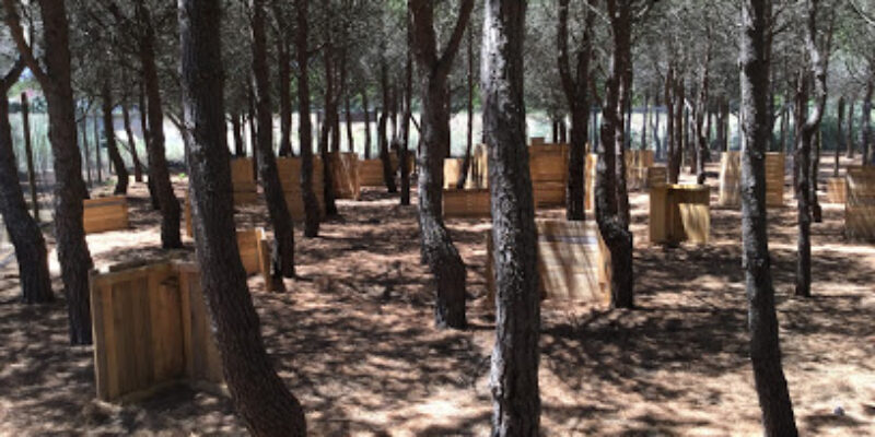 Starkh paintball