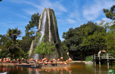 Zoo de La Palmyre