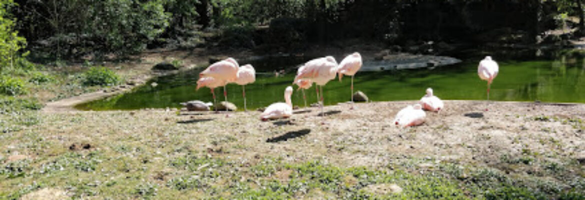 Parc zoologique Bois de Saint-Pierre