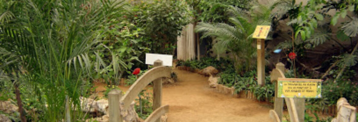 La Serre Aux Papillons